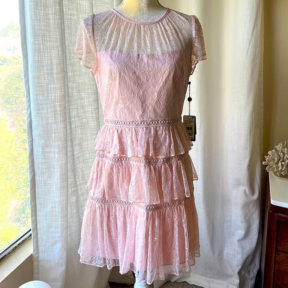 NWT Adrianna Papell Chantilly lace dress, sz 8 - Picture 4 of 14